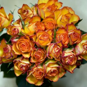 A bouquet of orange roses in a vase